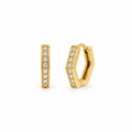 Hexa Earrings